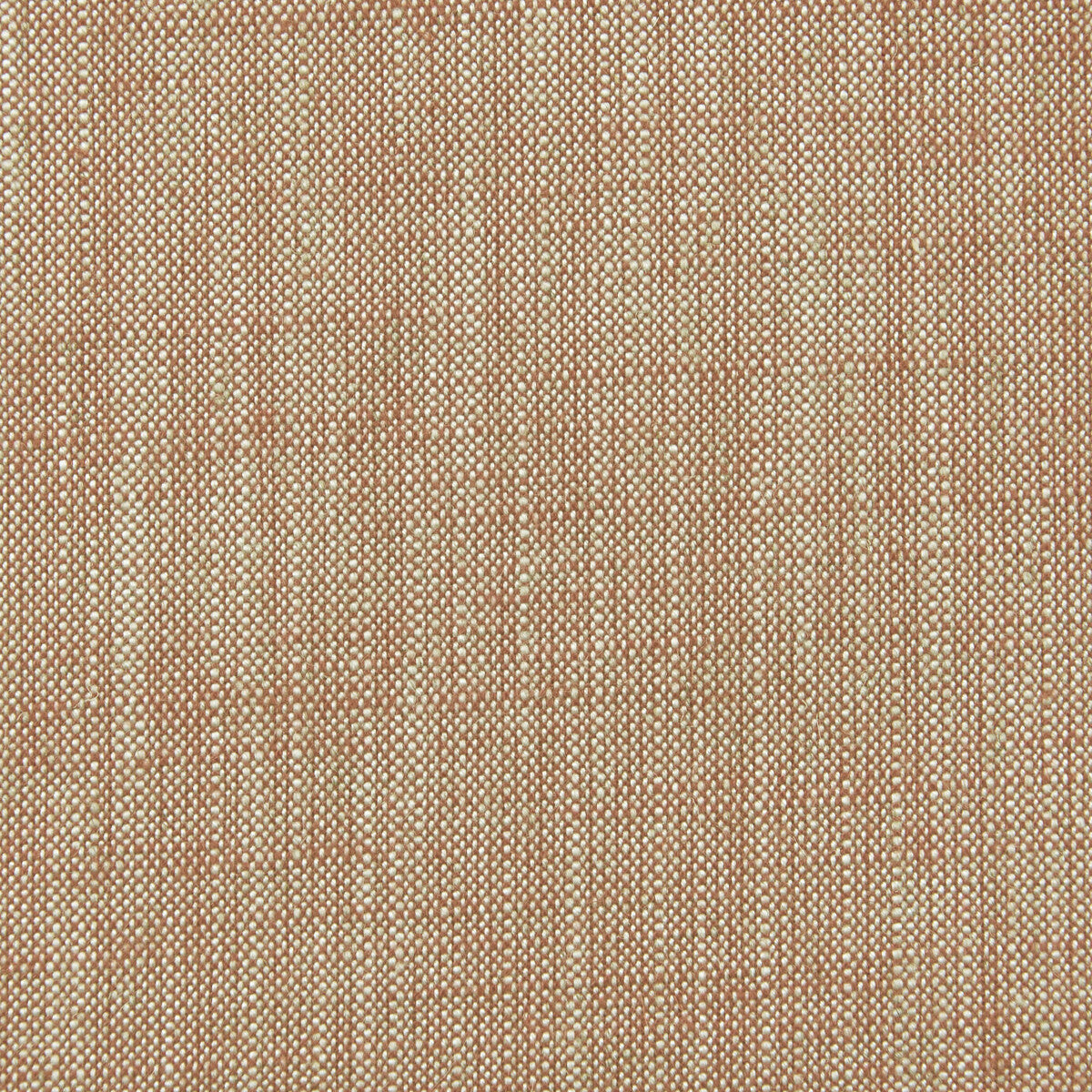 Biarritz fabric in cinnamon color - pattern F0965/10.CAC.0 - by Clarke And Clarke in the Clarke &amp; Clarke Biarritz collection