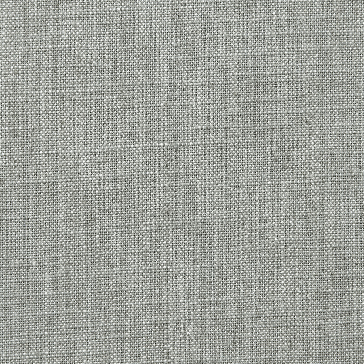 Biarritz fabric in slate color - pattern F0965/44.CAC.0 - by Clarke And Clarke in the Clarke &amp; Clarke Biarritz collection