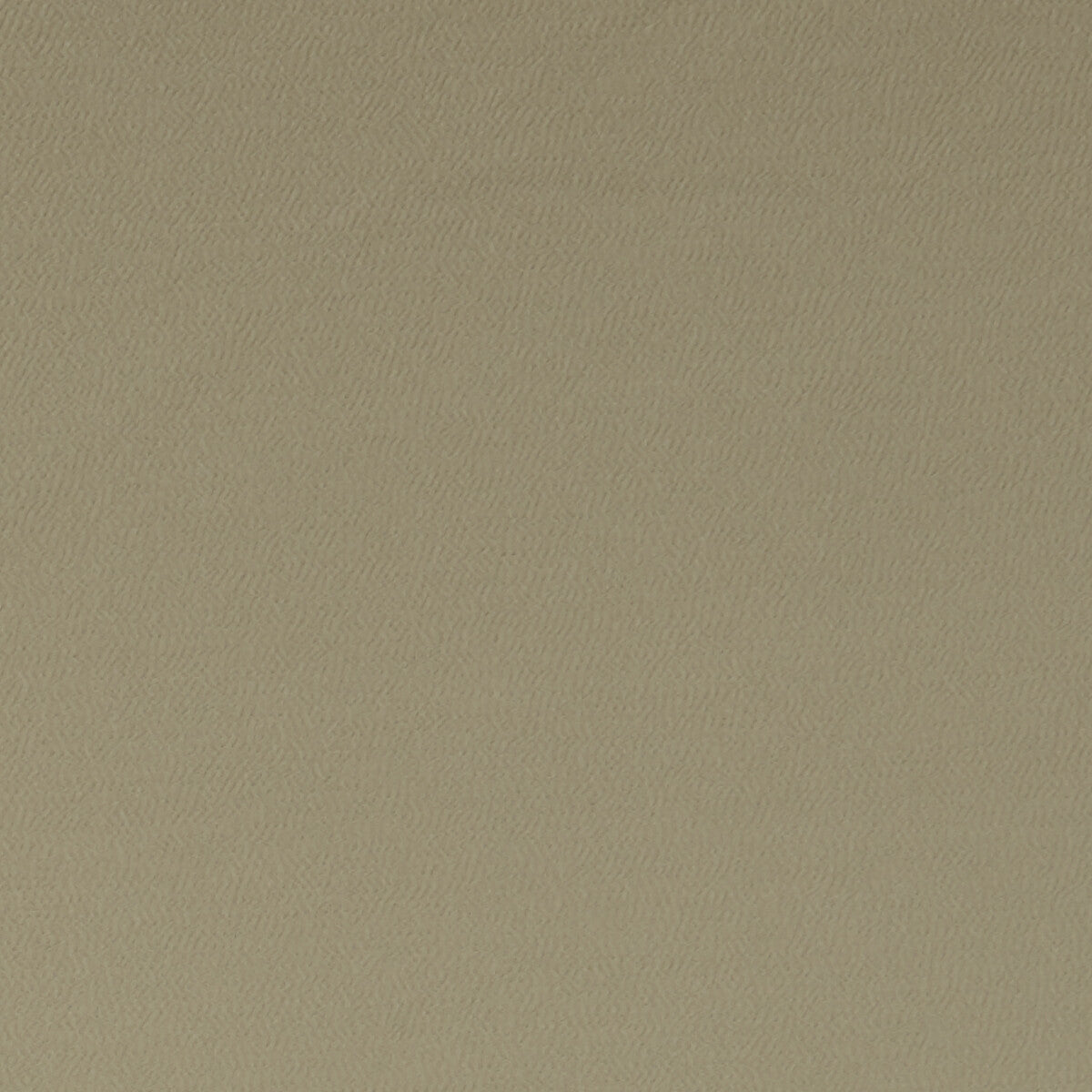 Spectrum fabric in sesame color - pattern F1062/37.CAC.0 - by Clarke And Clarke in the Clarke &amp; Clarke Spectrum collection