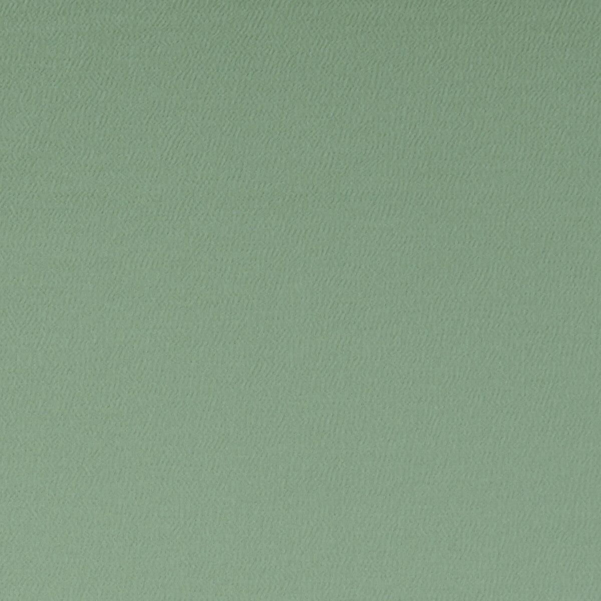 Spectrum fabric in thyme color - pattern F1062/42.CAC.0 - by Clarke And Clarke in the Clarke &amp; Clarke Spectrum collection