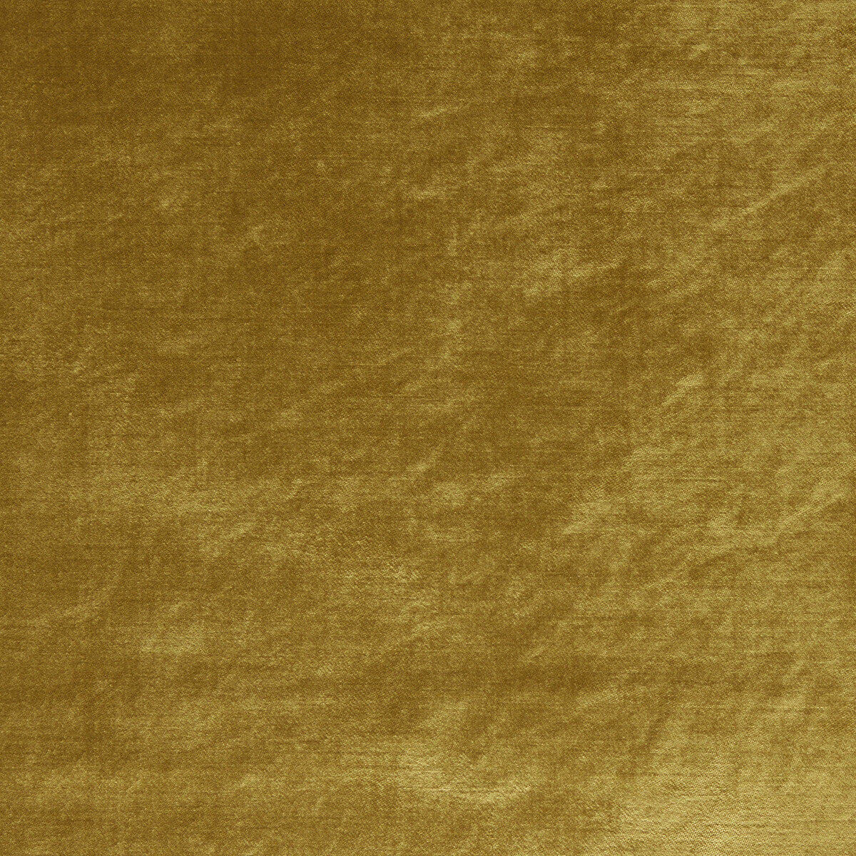 Allure fabric in gold color - pattern F1069/17.CAC.0 - by Clarke And Clarke in the Clarke &amp; Clarke Allure collection