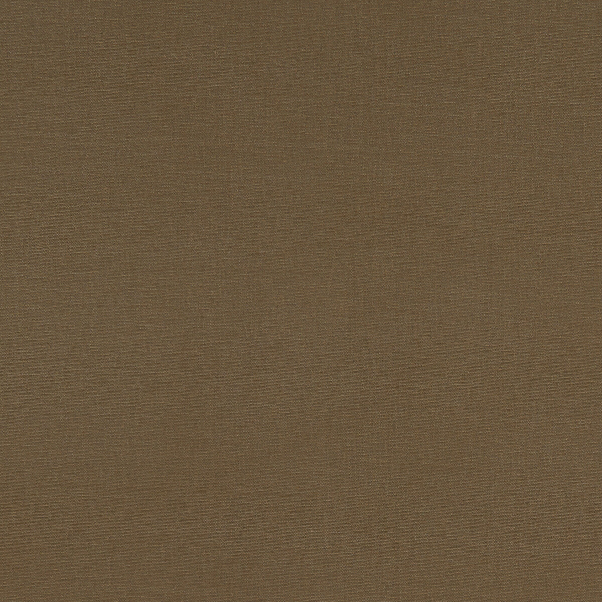 Alora fabric in cocoa color - pattern F1097/11.CAC.0 - by Clarke And Clarke in the Alora By Studio G For C&amp;C collection