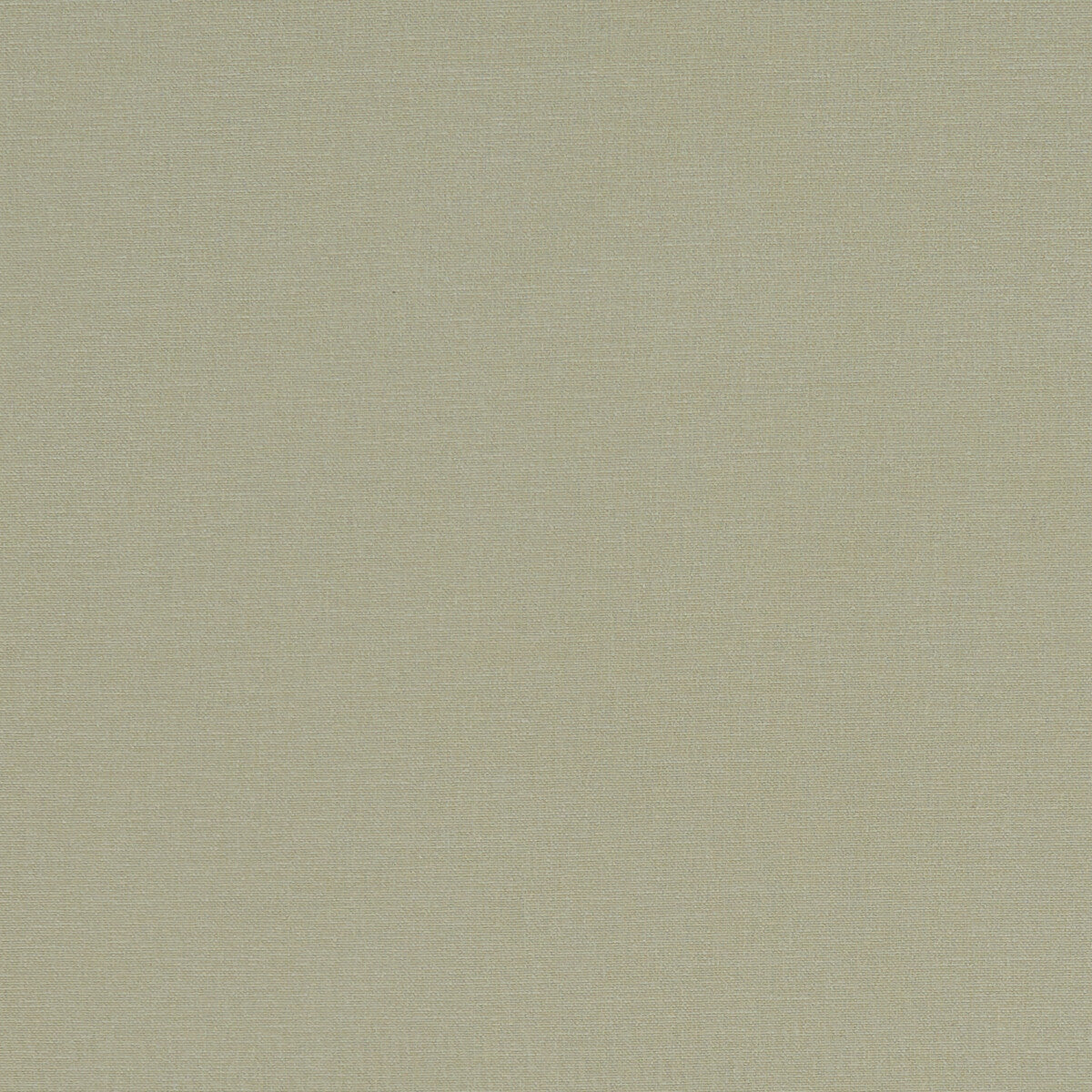 Alora fabric in khaki color - pattern F1097/30.CAC.0 - by Clarke And Clarke in the Alora By Studio G For C&amp;C collection