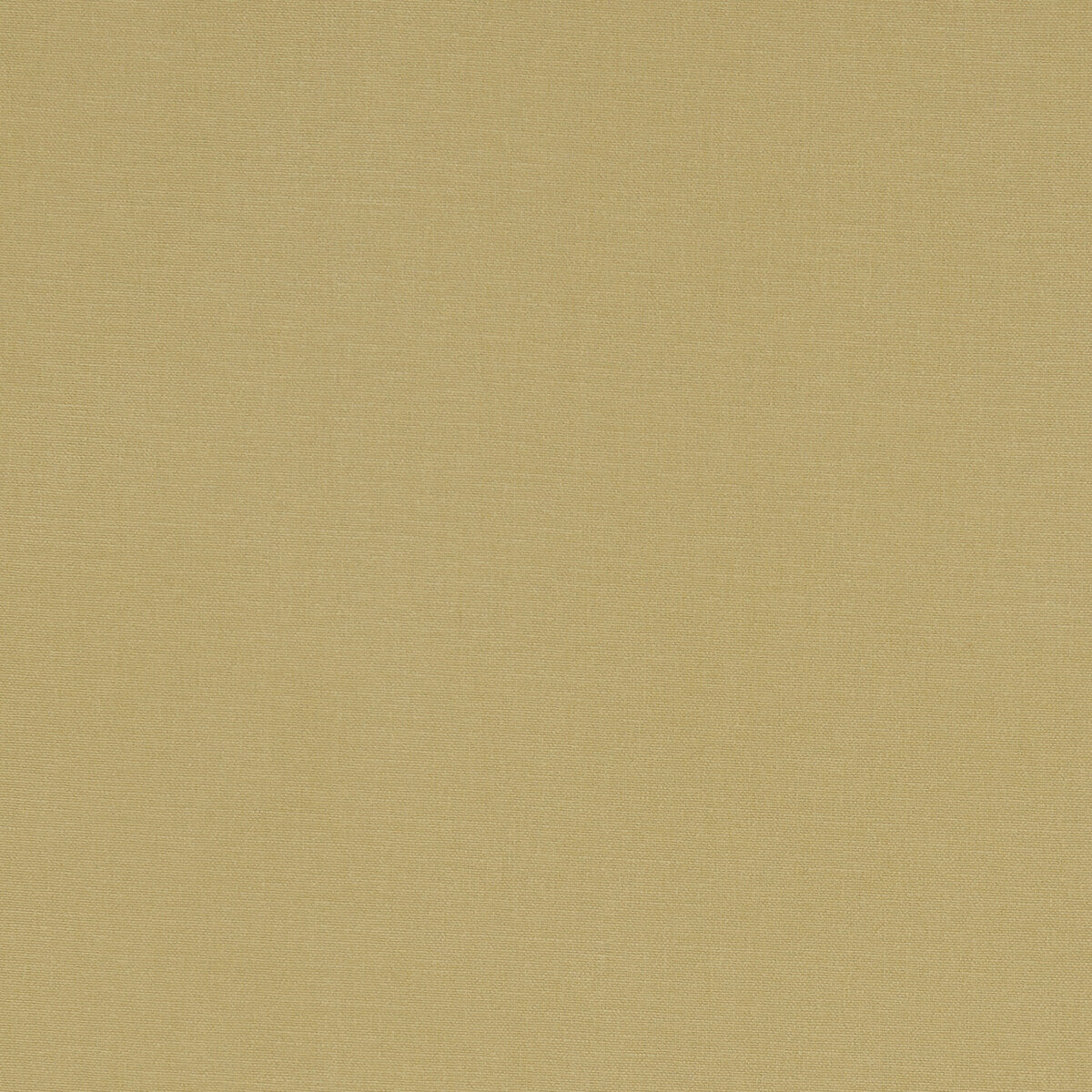 Alora fabric in malt color - pattern F1097/35.CAC.0 - by Clarke And Clarke in the Alora By Studio G For C&amp;C collection