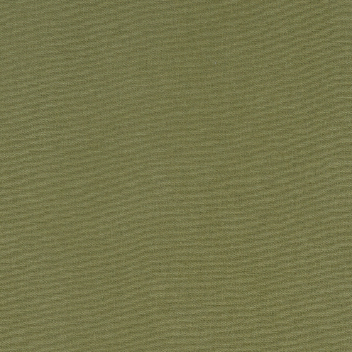 Alora fabric in moss color - pattern F1097/41.CAC.0 - by Clarke And Clarke in the Alora By Studio G For C&amp;C collection