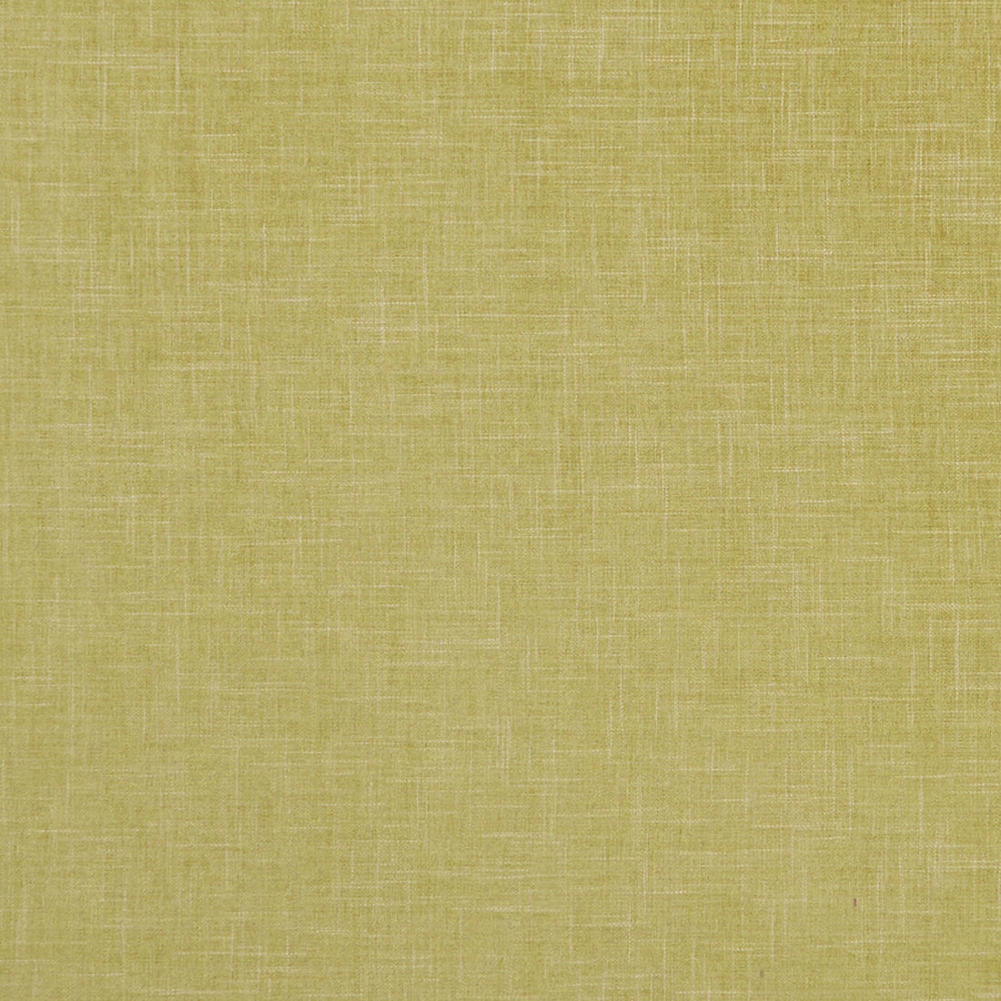Albany fabric in citron color - pattern F1098/05.CAC.0 - by Clarke And Clarke in the Clarke &amp; Clarke Albany &amp; Moray collection