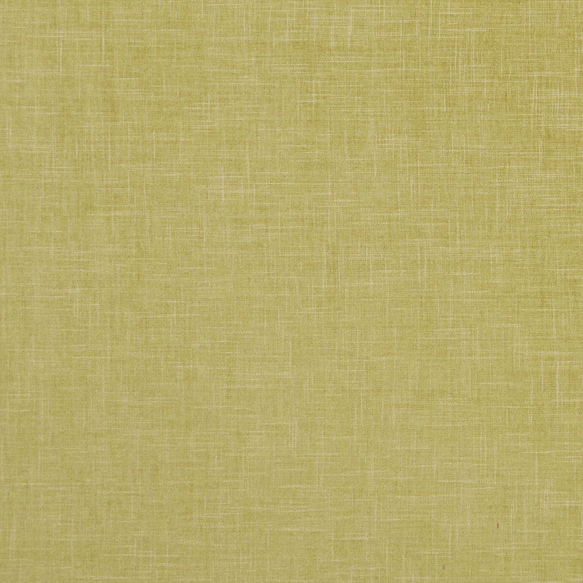 Albany fabric in citron color - pattern F1098/05.CAC.0 - by Clarke And Clarke in the Clarke &amp; Clarke Albany &amp; Moray collection