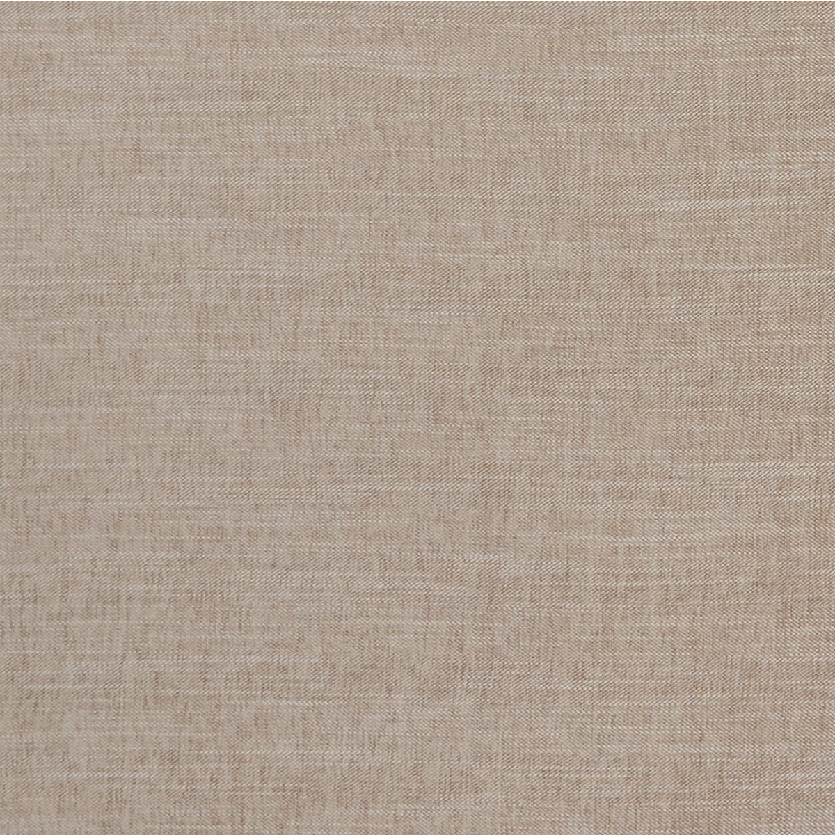 Moray fabric in latte color - pattern F1099/16.CAC.0 - by Clarke And Clarke in the Clarke &amp; Clarke Albany &amp; Moray collection