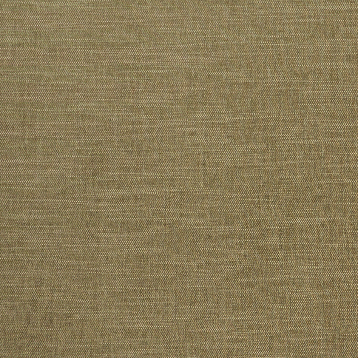 Moray fabric in moss color - pattern F1099/22.CAC.0 - by Clarke And Clarke in the Clarke &amp; Clarke Albany &amp; Moray collection