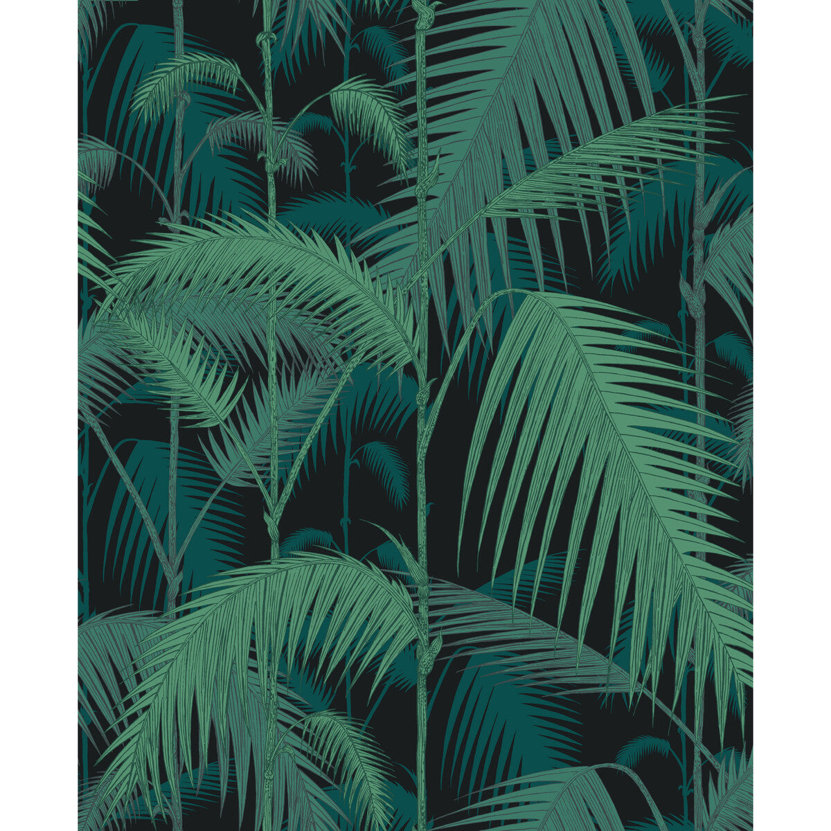 Palm Jungle fabric in viri/pet on blk color - pattern F111/2004V.CS.0 - by Cole &amp; Son in the Cole &amp; Son Contemporary Fabrics collection