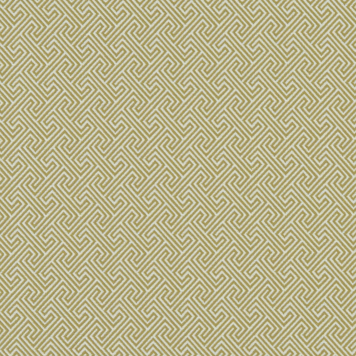 Mercury fabric in citron color - pattern F1131/01.CAC.0 - by Clarke And Clarke in the Clarke &amp; Clarke Equinox collection