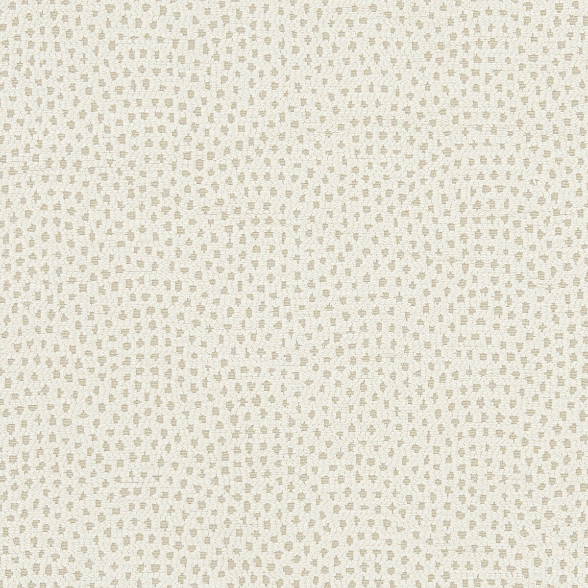 Nebula fabric in ivory color - pattern F1132/06.CAC.0 - by Clarke And Clarke in the Clarke &amp; Clarke Equinox collection