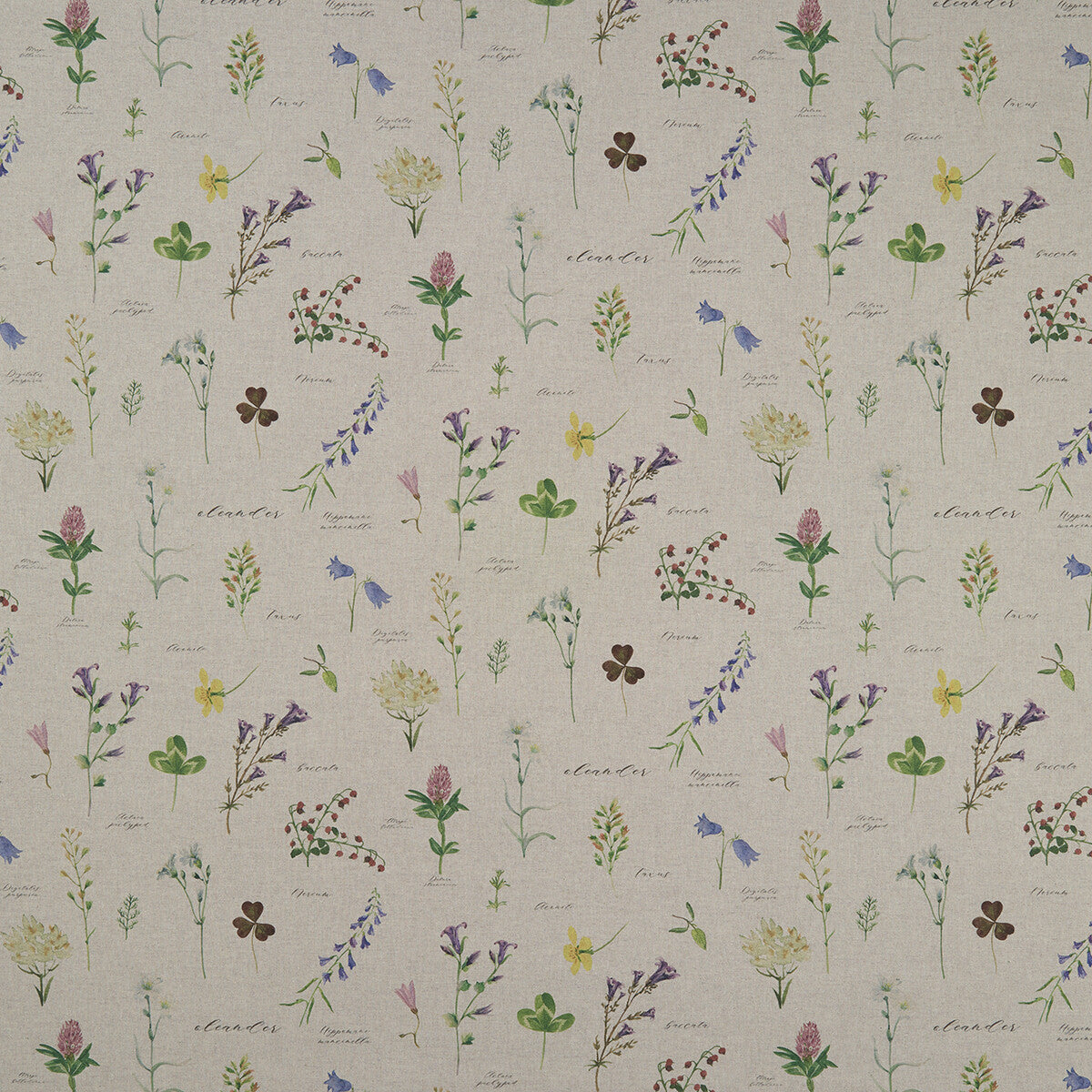 Nerium fabric in linen color - pattern F1167/01.CAC.0 - by Clarke And Clarke in the Clarke &amp; Clarke Country Garden collection