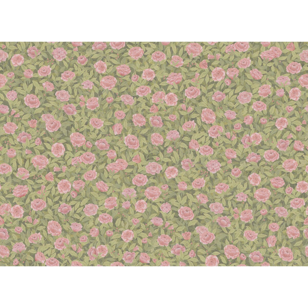 Idyll Roses Linen fabric in blush color - pattern number F121/2009.CS.0 - by Cole &amp; Son in the Cole &amp; Son The Gardens Vol. II collection