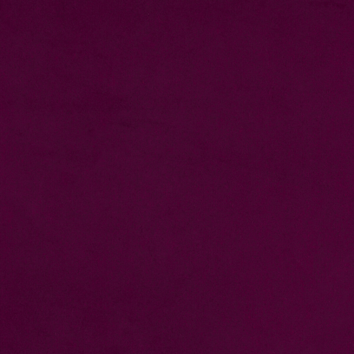 Lucca fabric in magenta color - pattern F1295/08.CAC.0 - by Clarke And Clarke in the Alonso By Studio G For C&amp;C collection