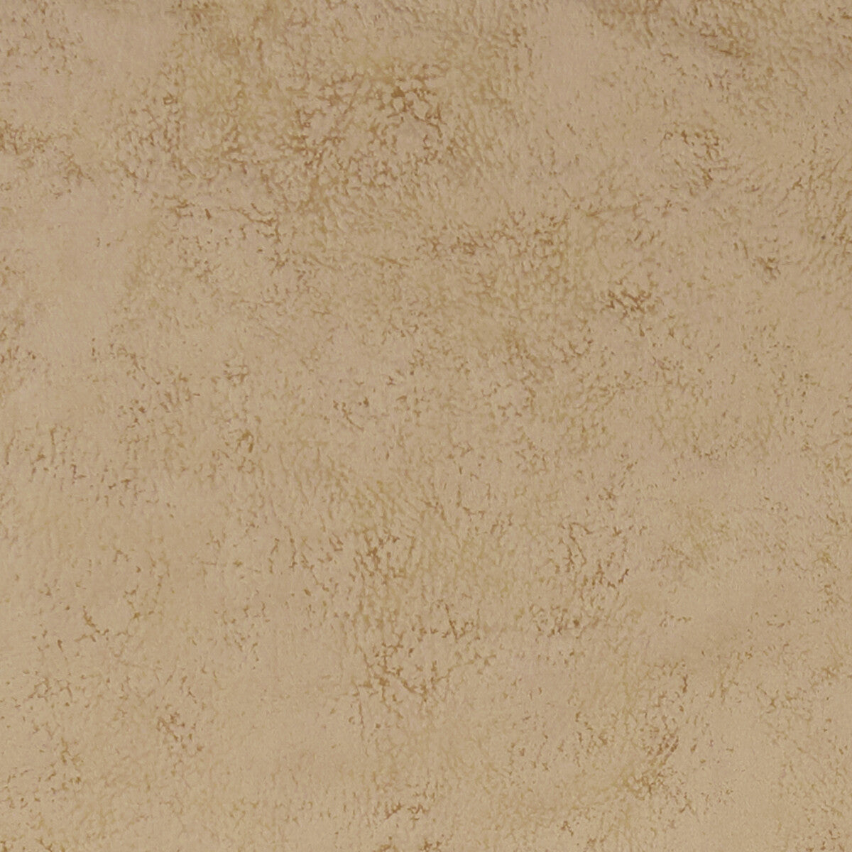 Nola fabric in taupe color - pattern F1296/16.CAC.0 - by Clarke And Clarke in the Alonso By Studio G For C&amp;C collection