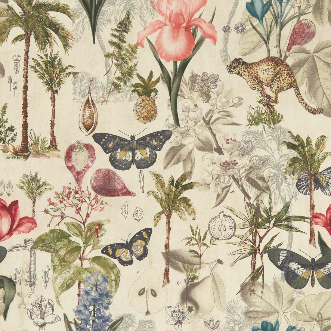 Botany fabric in tropical color - pattern F1297/03.CAC.0 - by Clarke And Clarke in the Clarke &amp; Clarke Exotica collection