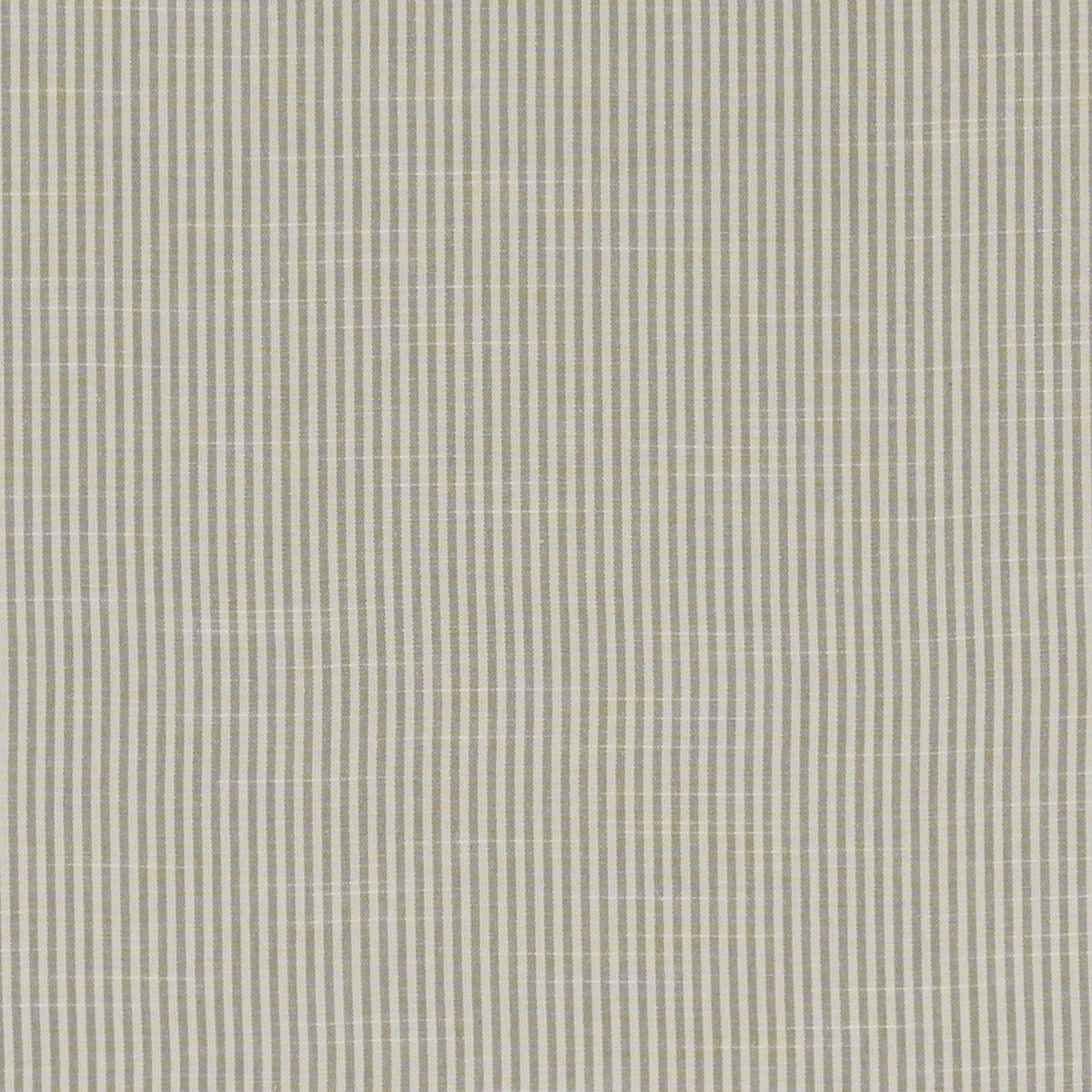 Bempton fabric in grey color - pattern F1307/05.CAC.0 - by Clarke And Clarke in the Bempton By Studio G For C&amp;C collection