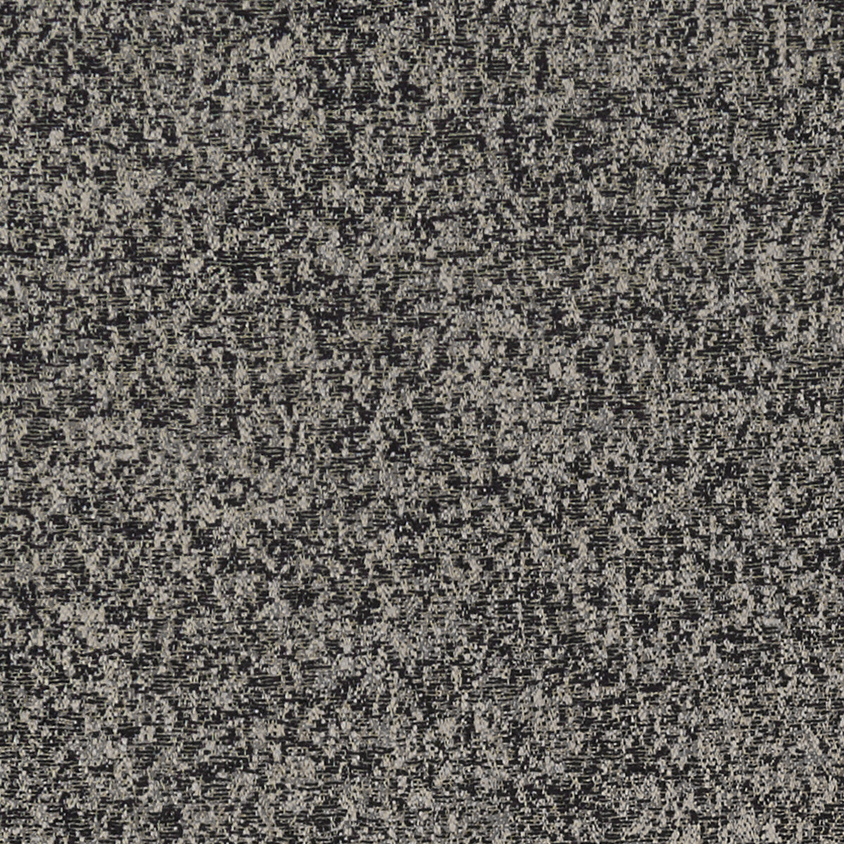 Logan fabric in noir color - pattern F1321/06.CAC.0 - by Clarke And Clarke in the Clarke &amp; Clarke Avalon collection