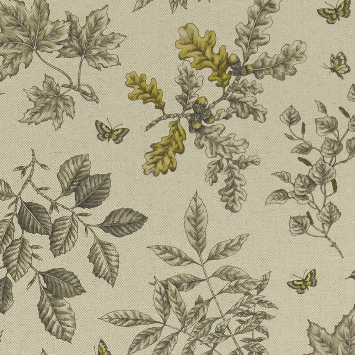 Hortus fabric in charcoal/ochre color - pattern F1329/02.CAC.0 - by Clarke And Clarke in the Clarke &amp; Clarke Eden collection