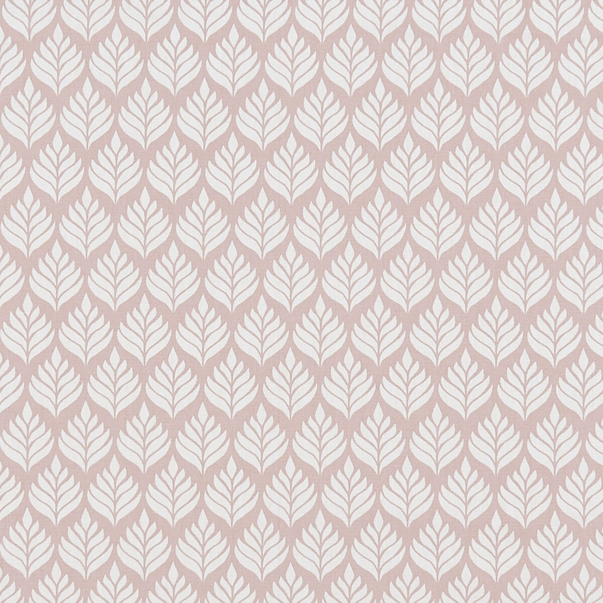 Elise fabric in blush color - pattern F1372/01.CAC.0 - by Clarke And Clarke in the Co-Ordinates By Studio G For C&amp;C collection