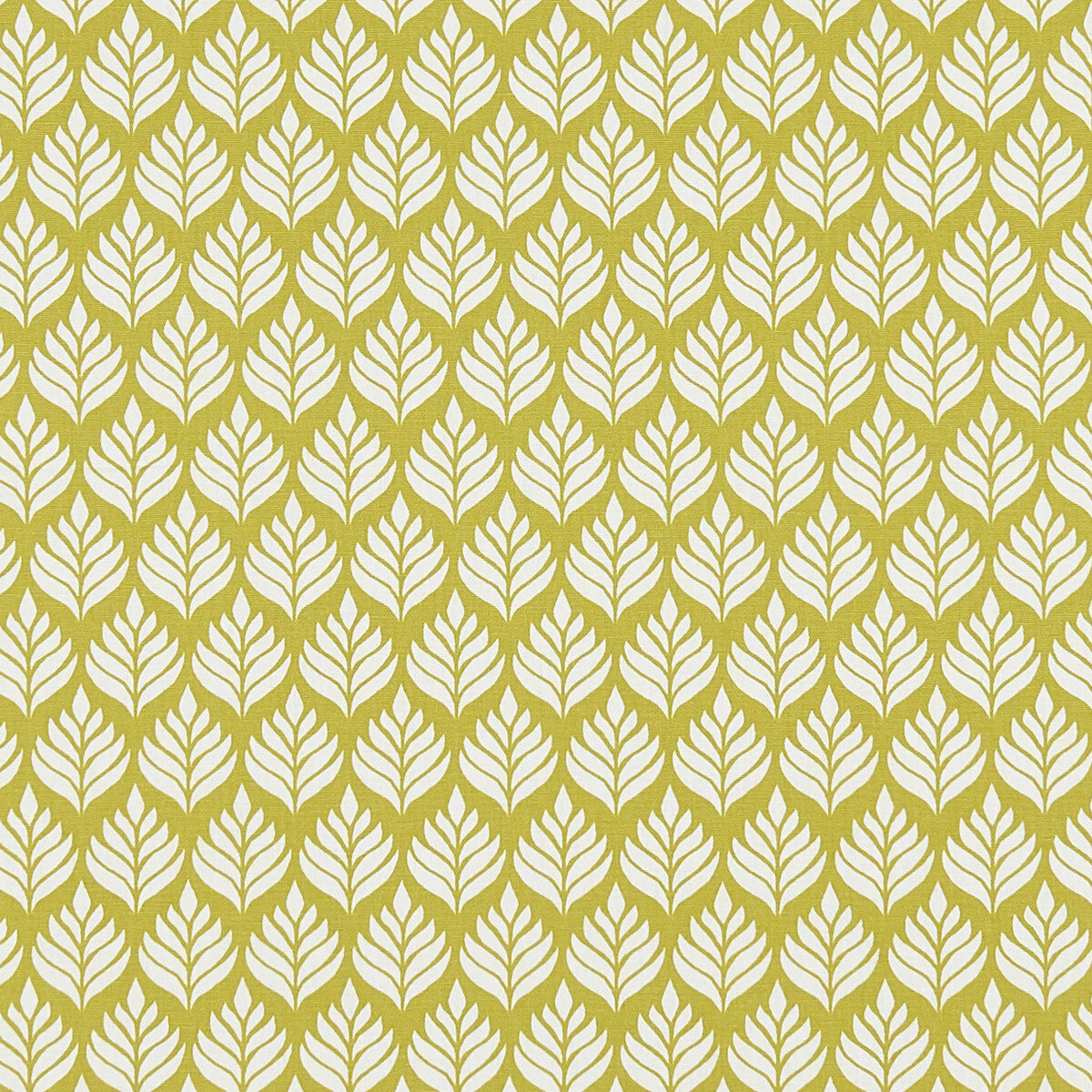 Elise fabric in citrus color - pattern F1372/03.CAC.0 - by Clarke And Clarke in the Co-Ordinates By Studio G For C&amp;C collection