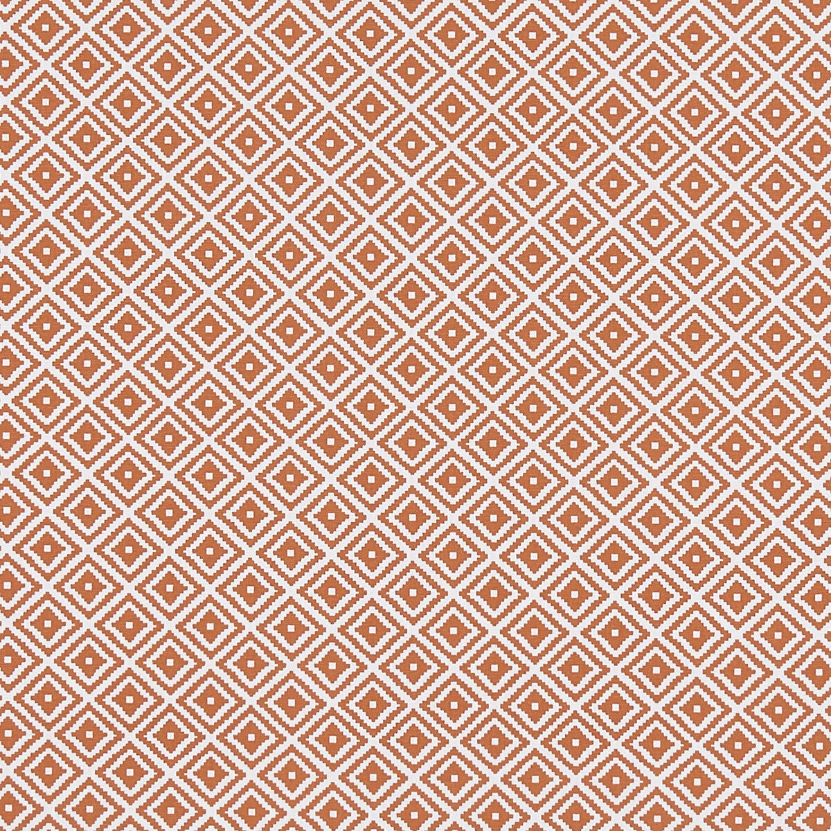 Kiki fabric in spice color - pattern F1374/07.CAC.0 - by Clarke And Clarke in the Co-Ordinates By Studio G For C&amp;C collection