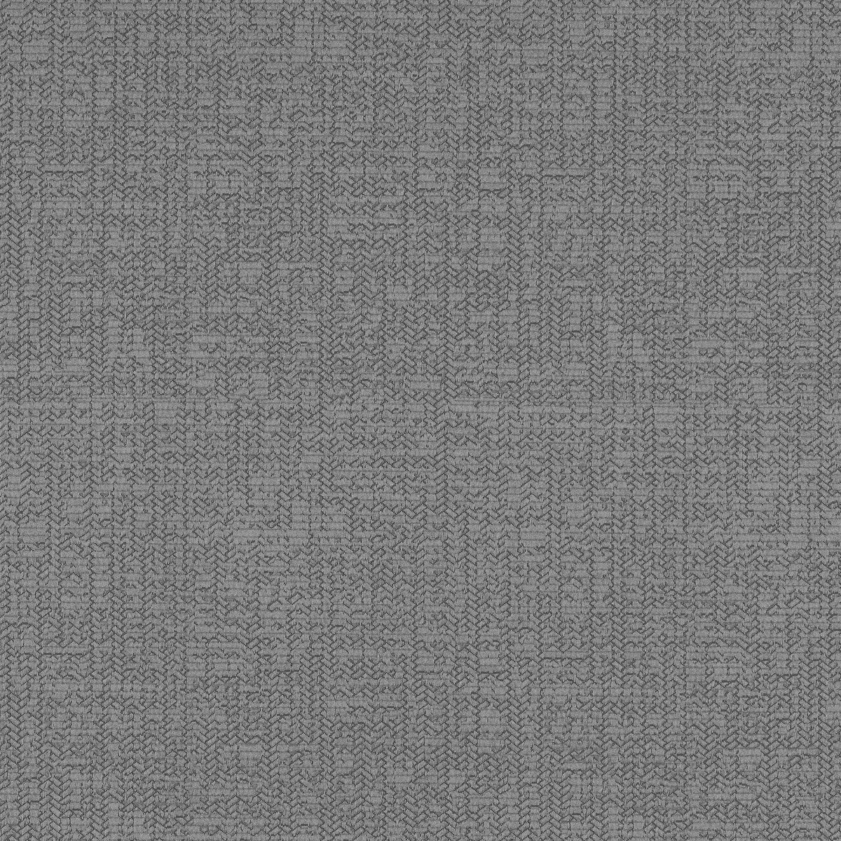 Arva fabric in charcoal color - pattern F1405/02.CAC.0 - by Clarke And Clarke in the Clarke &amp; Clarke Natura collection