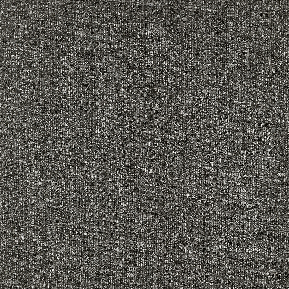 Acies fabric in charcoal color - pattern F1416/03.CAC.0 - by Clarke And Clarke in the Clarke &amp; Clarke Purus collection