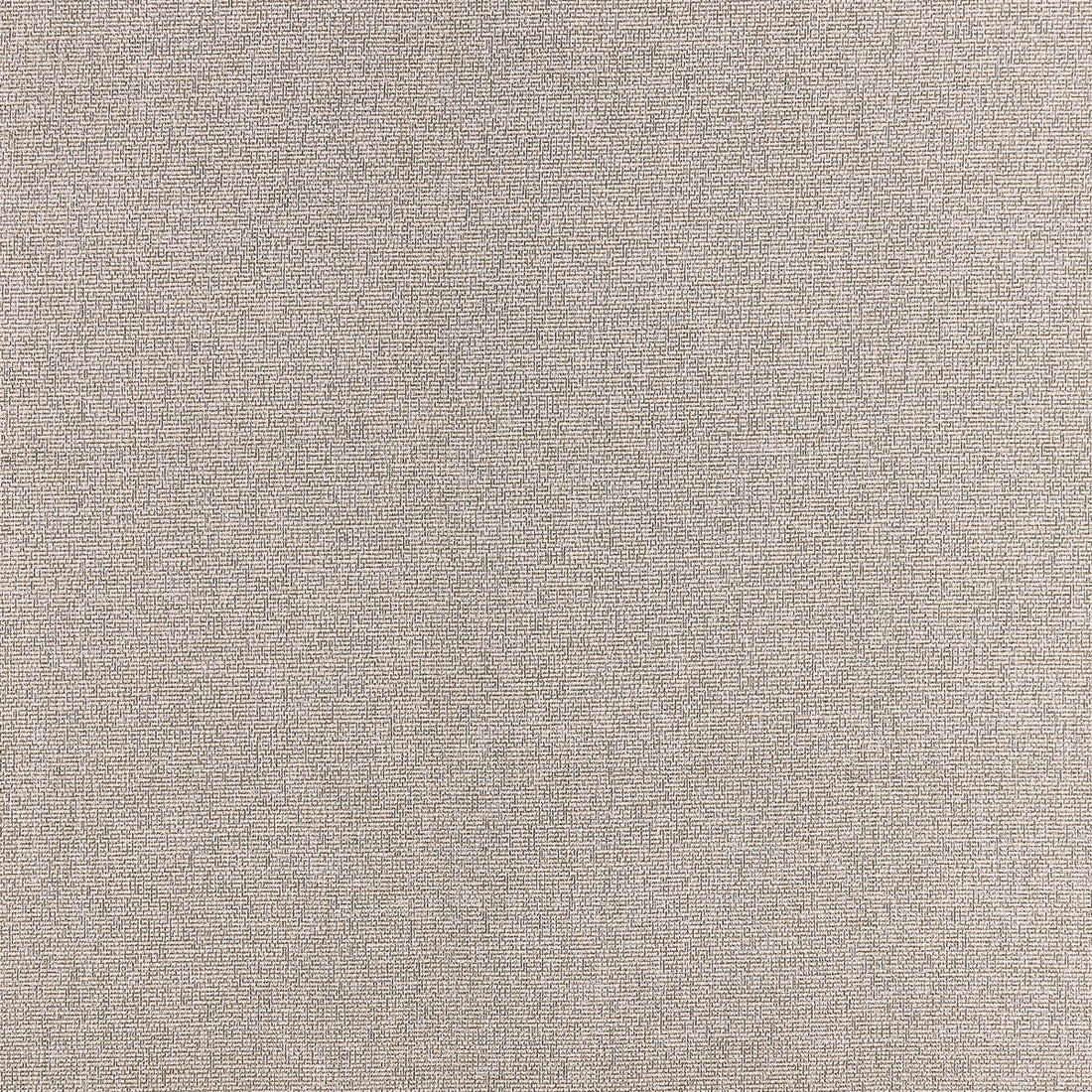 Acies fabric in taupe color - pattern F1416/11.CAC.0 - by Clarke And Clarke in the Clarke &amp; Clarke Purus collection