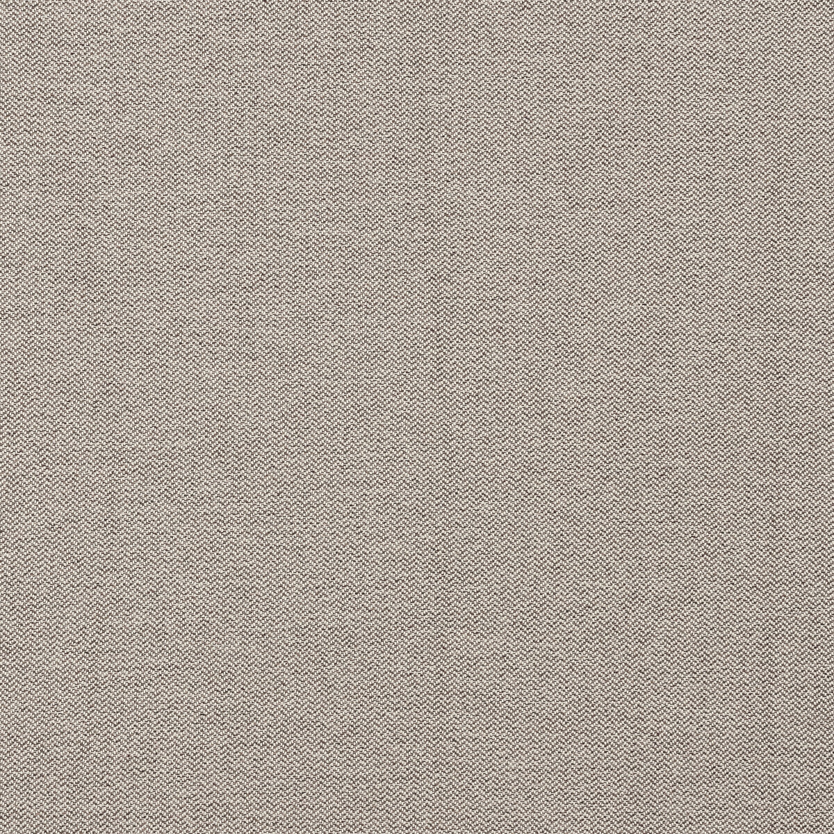 Claro fabric in taupe color - pattern F1417/06.CAC.0 - by Clarke And Clarke in the Clarke &amp; Clarke Purus collection