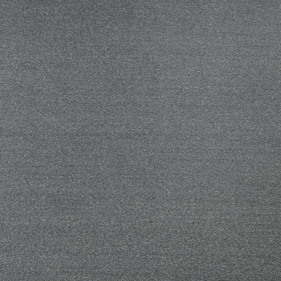 Felpa fabric in graphite color - pattern F1419/03.CAC.0 - by Clarke And Clarke in the Clarke &amp; Clarke Purus collection