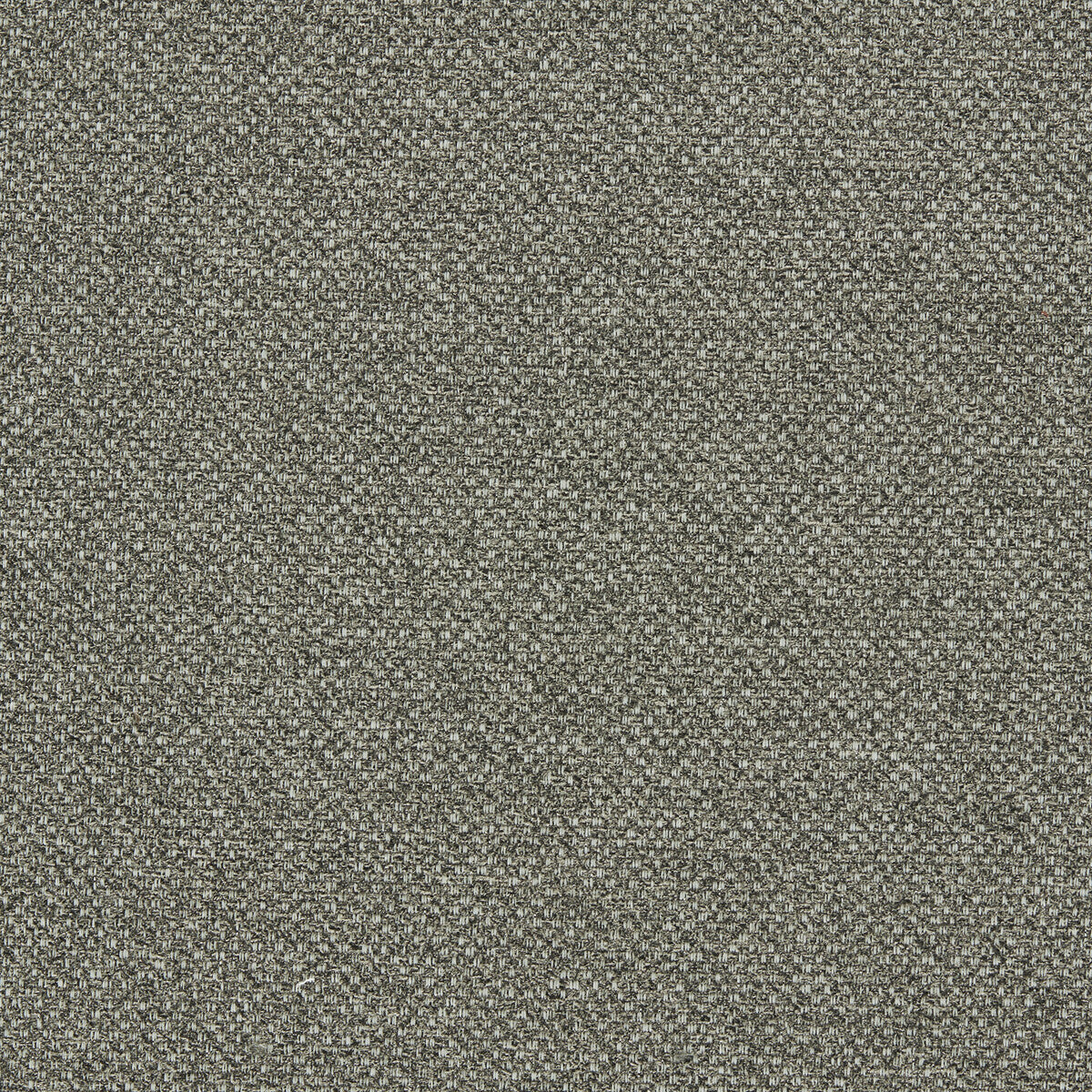 Filum fabric in earth color - pattern F1421/01.CAC.0 - by Clarke And Clarke in the Clarke &amp; Clarke Purus collection
