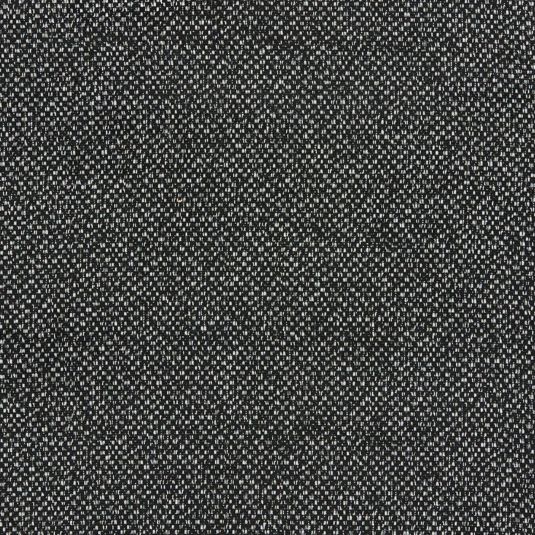 Filum fabric in ebony color - pattern F1421/02.CAC.0 - by Clarke And Clarke in the Clarke &amp; Clarke Purus collection
