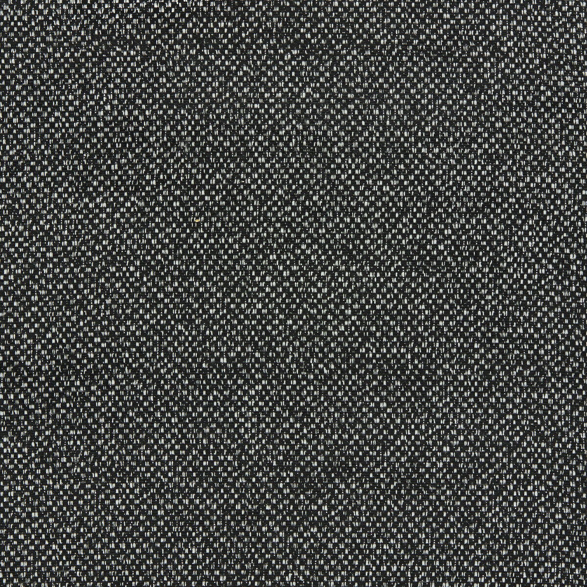 Filum fabric in ebony color - pattern F1421/02.CAC.0 - by Clarke And Clarke in the Clarke &amp; Clarke Purus collection