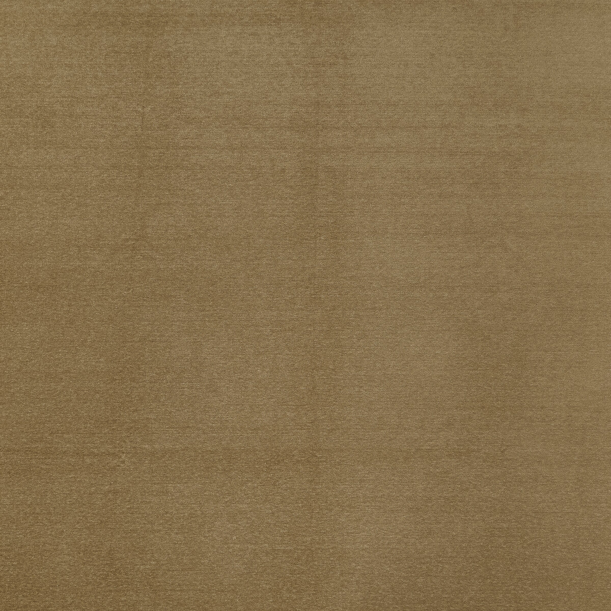 Maculo fabric in taupe color - pattern F1423/15.CAC.0 - by Clarke And Clarke in the Clarke &amp; Clarke Purus collection