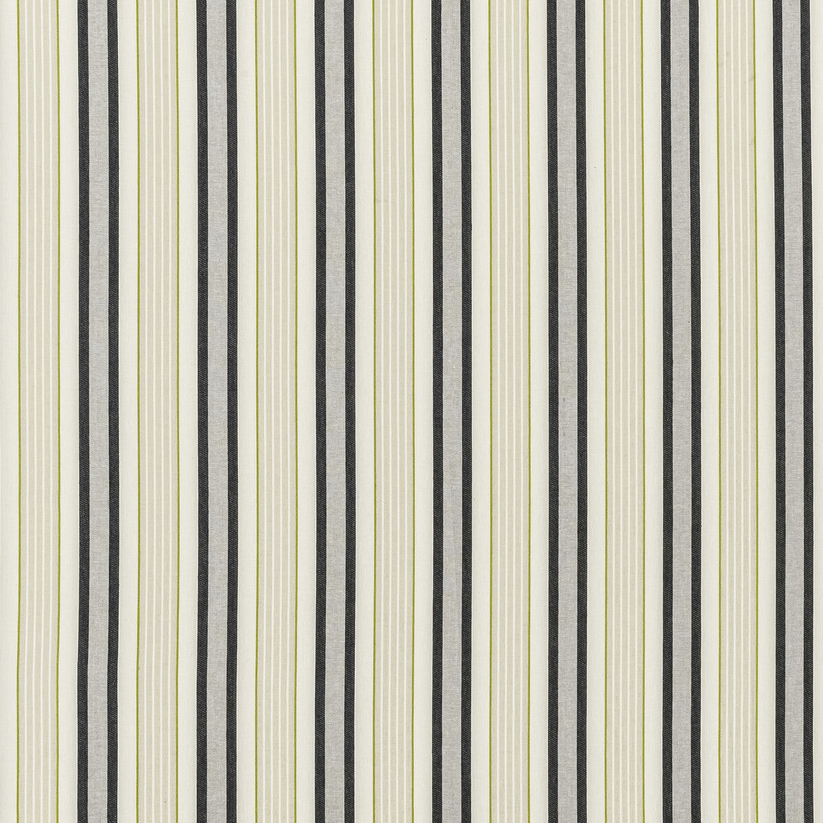 Belvoir fabric in charcoal/chartreu color - pattern F1430/02.CAC.0 - by Clarke And Clarke in the Clarke &amp; Clarke Botanist collection