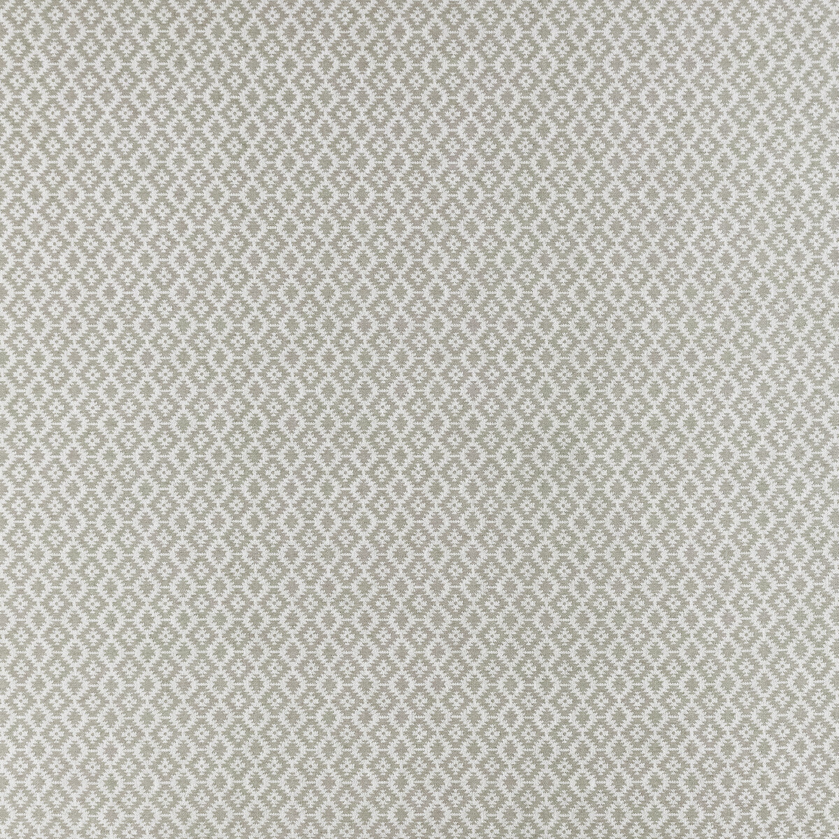 Mono fabric in silver color - pattern F1445/03.CAC.0 - by Clarke And Clarke in the Clarke &amp; Clarke Origins collection