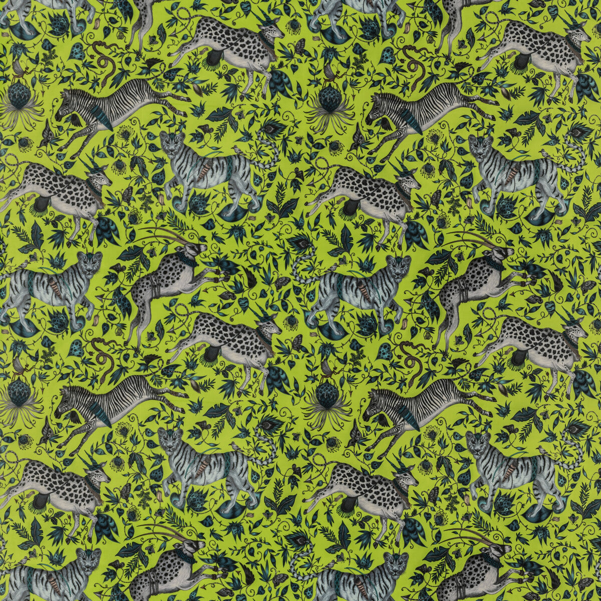 Protea Velvet fabric in lime color - pattern F1479/04.CAC.0 - by Clarke And Clarke in the Wilderie By Emma J Shipley For C&amp;C collection