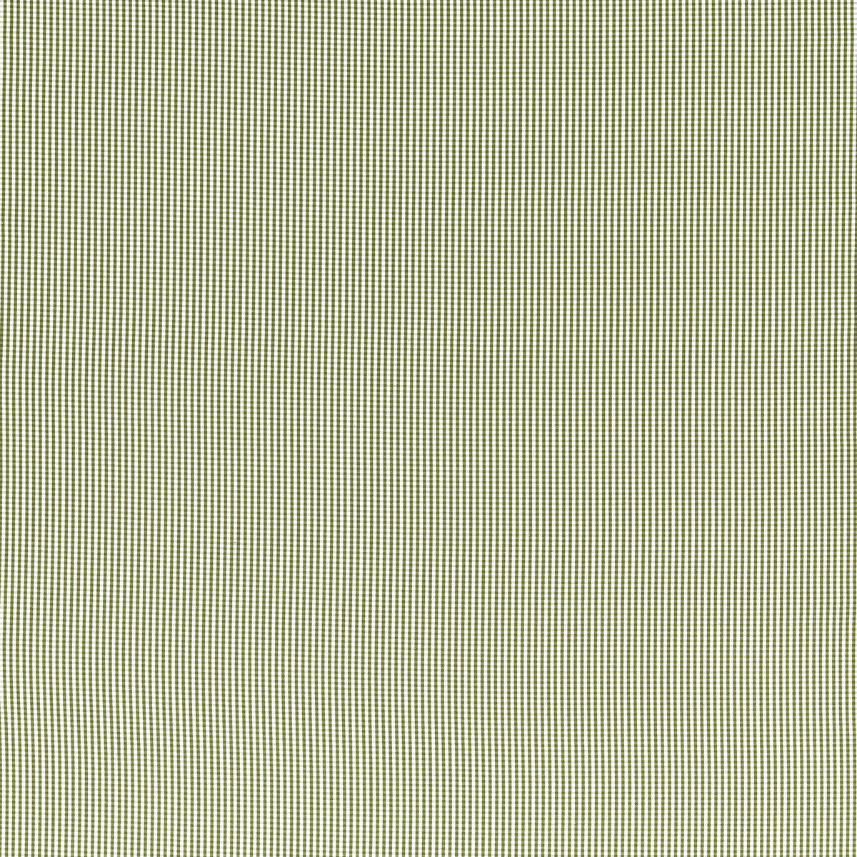 Windsor fabric in sage color - pattern F1505/10.CAC.0 - by Clarke And Clarke in the Clarke &amp; Clarke Edgeworth collection