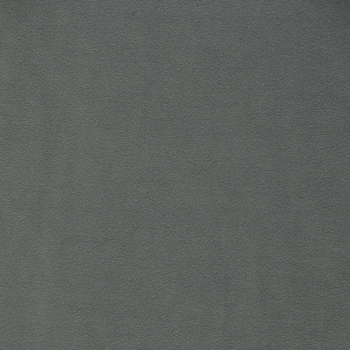 Miami fabric in charcoal color - pattern F1511/06.CAC.0 - by Clarke And Clarke in the Clarke &amp; Clarke Miami collection