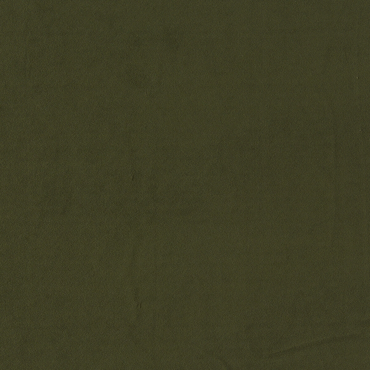 Miami fabric in herb color - pattern F1511/16.CAC.0 - by Clarke And Clarke in the Clarke &amp; Clarke Miami collection