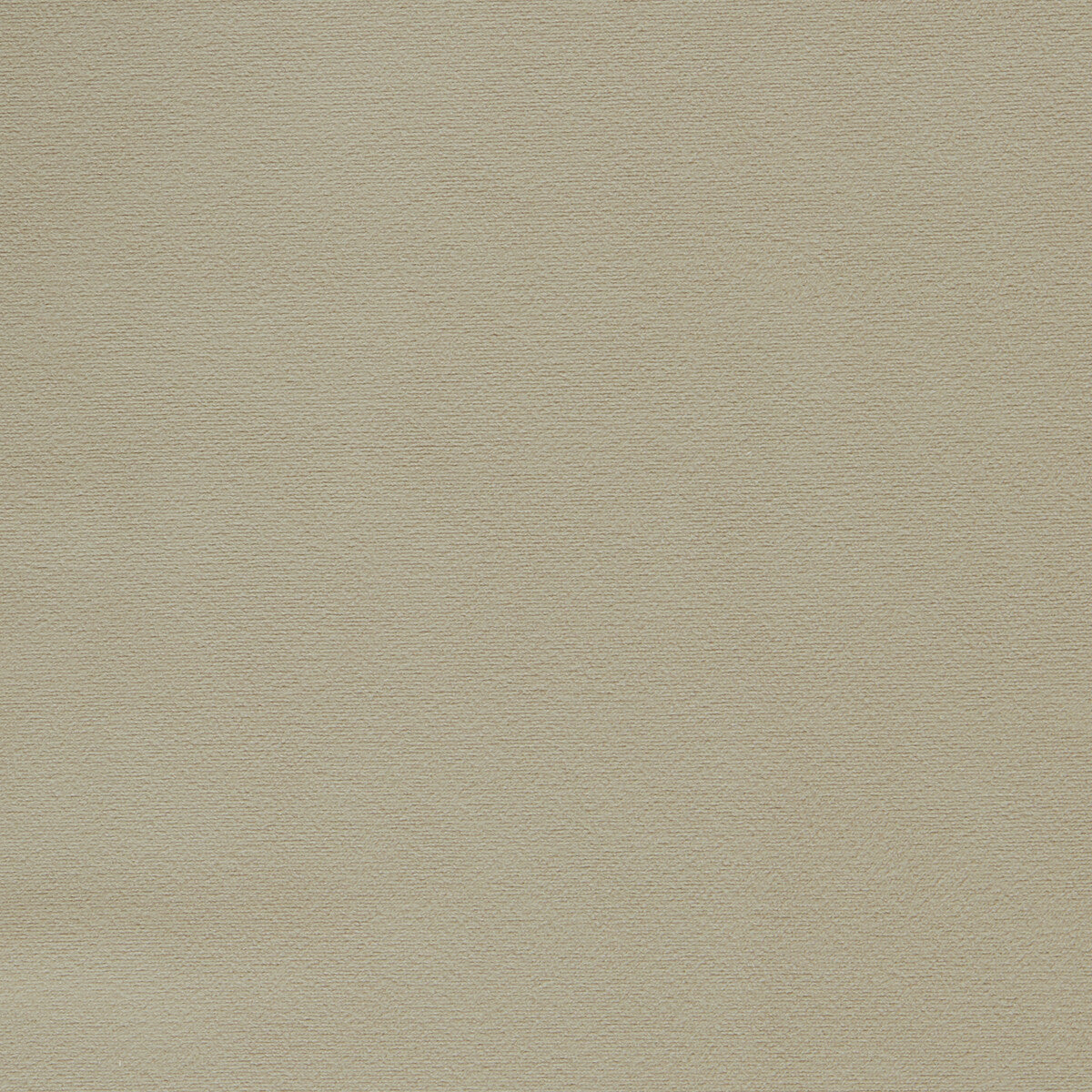 Miami fabric in taupe color - pattern F1511/23.CAC.0 - by Clarke And Clarke in the Clarke &amp; Clarke Miami collection
