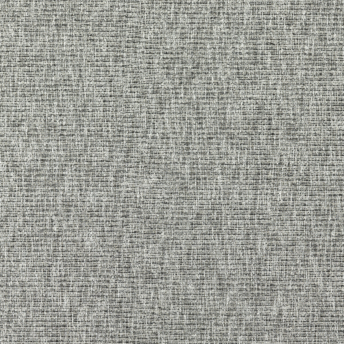 Avani fabric in charcoal color - pattern F1527/02.CAC.0 - by Clarke And Clarke in the Clarke &amp; Clarke Eco collection