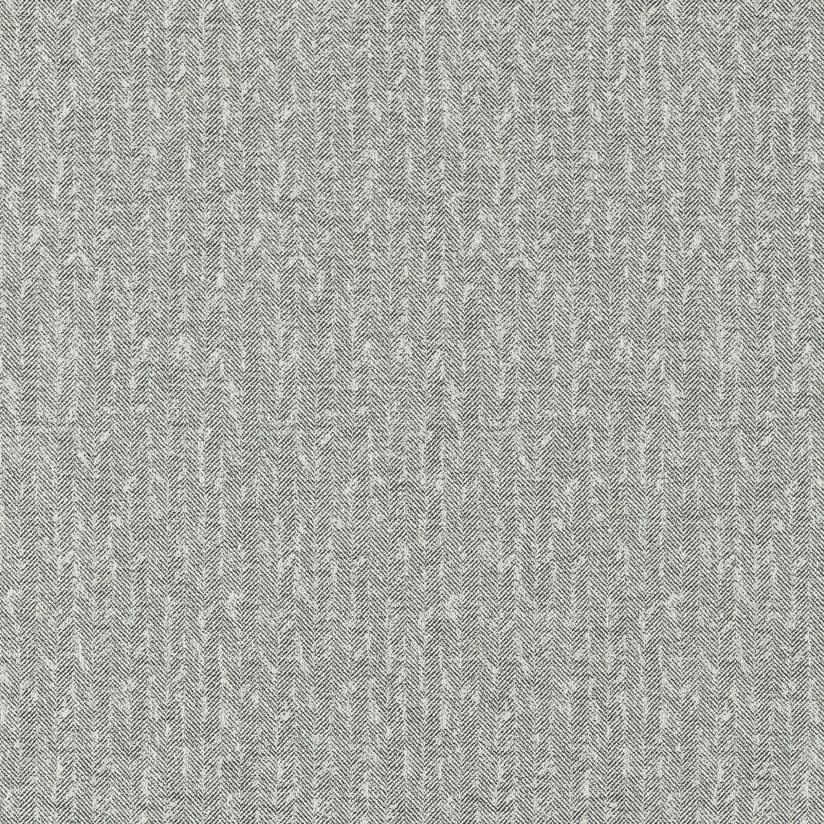 Tierra fabric in charcoal color - pattern F1529/03.CAC.0 - by Clarke And Clarke in the Clarke &amp; Clarke Eco collection