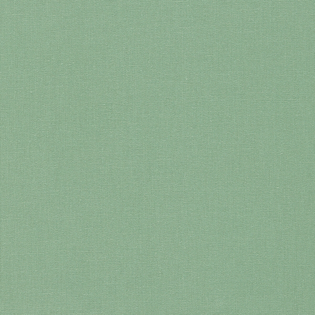 Lazio fabric in herb color - pattern F1537/18.CAC.0 - by Clarke And Clarke in the Clarke &amp; Clarke Lazio collection