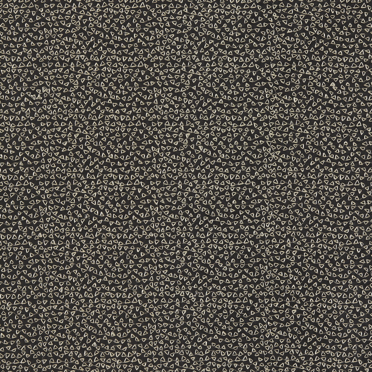 Ricamo fabric in nero color - pattern F1548/03.CAC.0 - by Clarke And Clarke in the Clarke &amp; Clarke Dimora collection