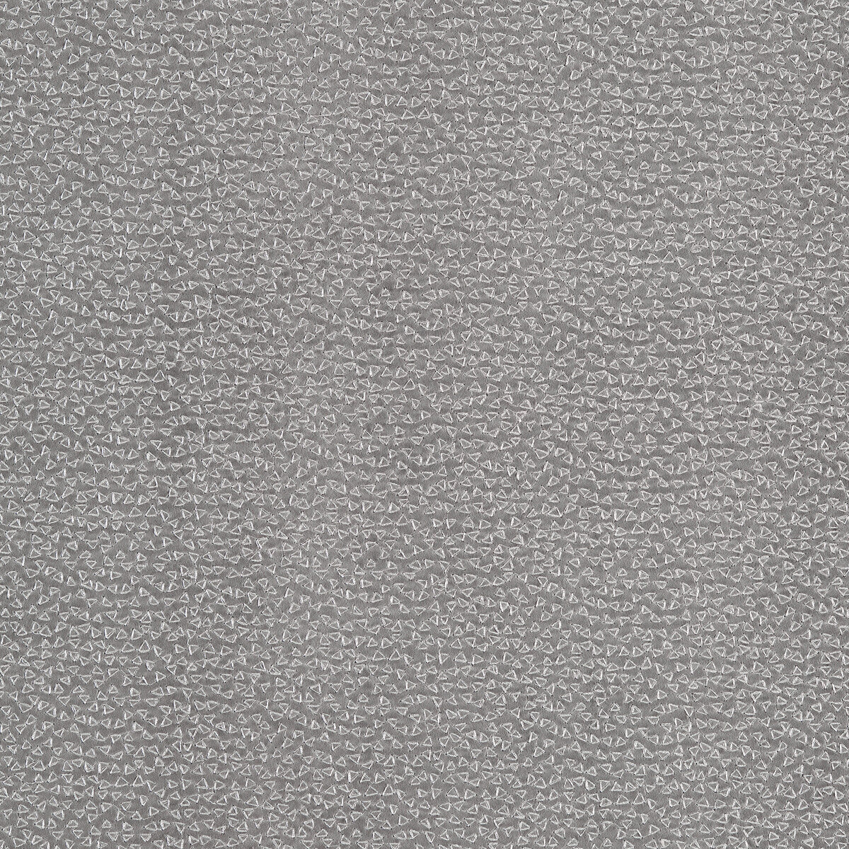 Ricamo fabric in pewter color - pattern F1548/05.CAC.0 - by Clarke And Clarke in the Clarke &amp; Clarke Dimora collection