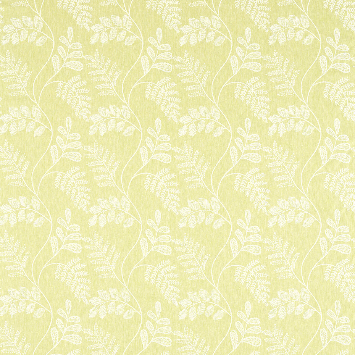 Audette fabric in citron color - pattern F1553/02.CAC.0 - by Clarke And Clarke in the Clarke &amp; Clarke Pavilion collection