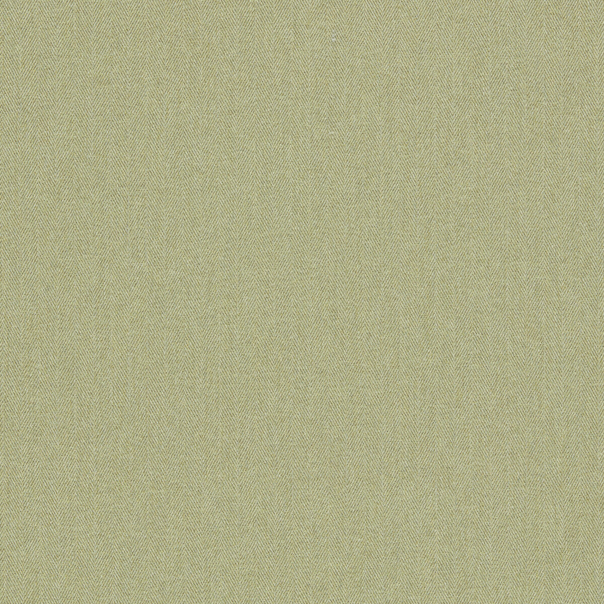 Rowland fabric in olive color - pattern F1570/08.CAC.0 - by Clarke And Clarke in the Clarke &amp; Clarke Burlington collection